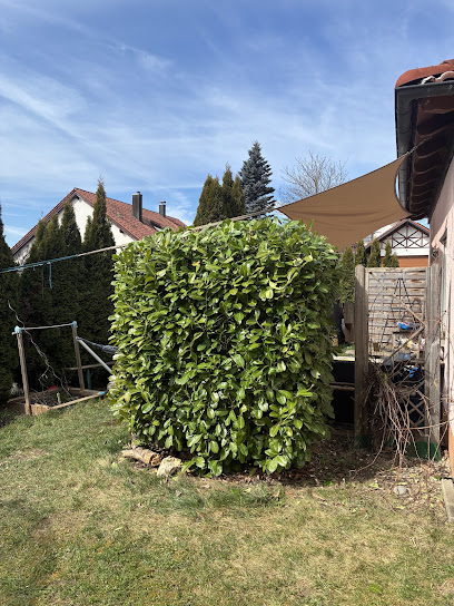 Alb Forst und Gartentechnik