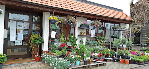 Eveline Wolf Blumenwerkstätte