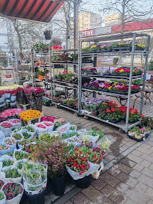 Lissy's Blumenparadies