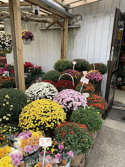 Blumenladen Le