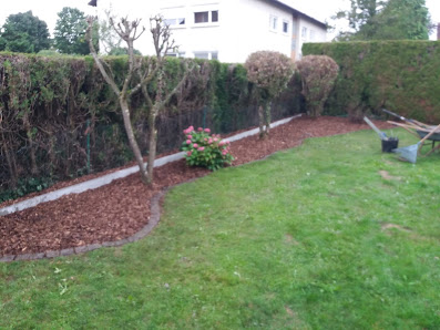 Happy garden Jazmin
