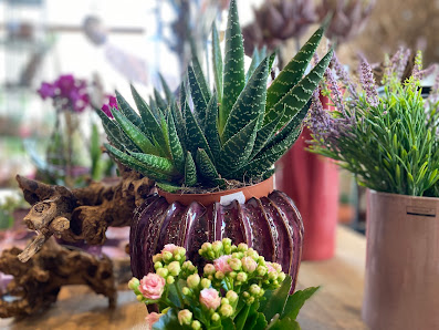 Flowers & Lifestyle