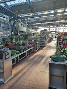 OBI Gartencenter Giengen