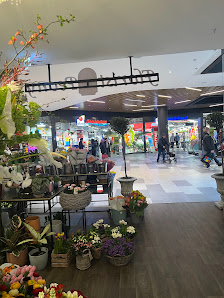 Florist Peony Floristikzauber