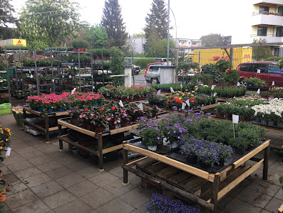Blumen & Pflanzen Garten