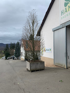 D. Handel Baumschulen GmbH