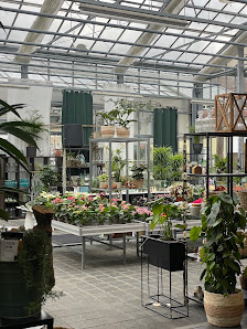 Bader-Blumencenter GmbH