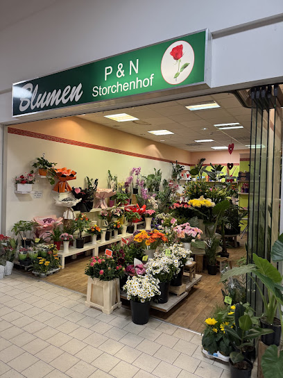Blumen P&N