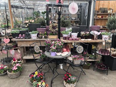 Blumen Bosch