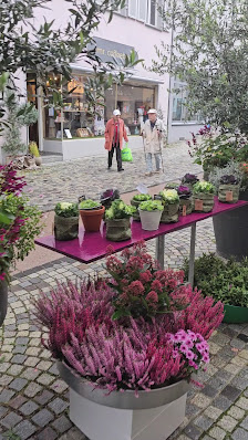 Blumen Kraus