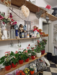 Blumen & Pflanzen