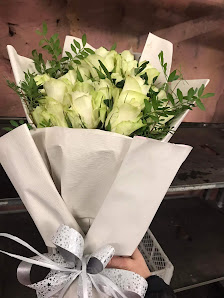 Blumen & Pflanzen