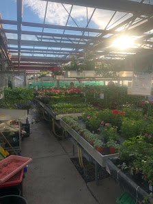 Gärtnerei Gabler Legau