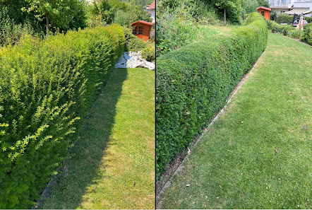 Gartenservice Bosler & Schindler GbR