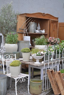 Sofies Laden Blumen und Dekorationen