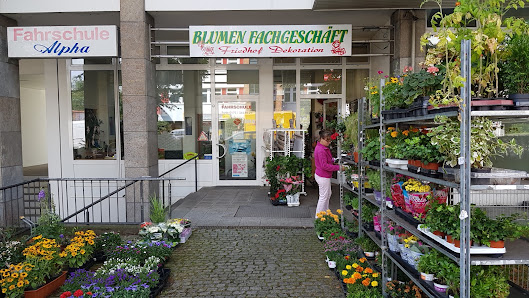Blumen Fachgeschäft