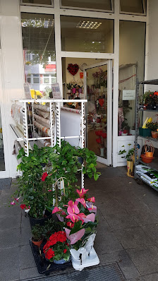 Blumen Fachgeschäft