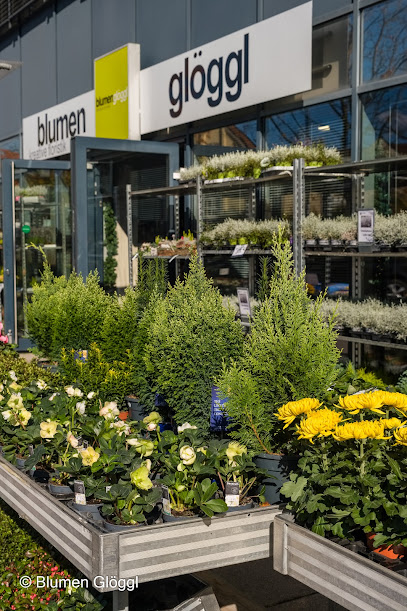 Blumen Glöggl