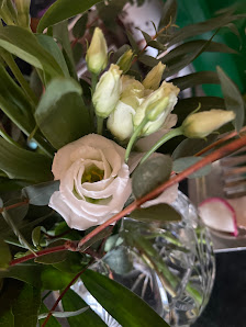 Blumen Zwirner