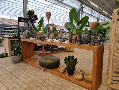 Gartencenter Röhm grün erleben