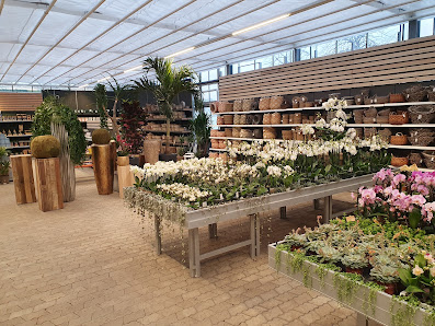 Gartencenter Röhm grün erleben