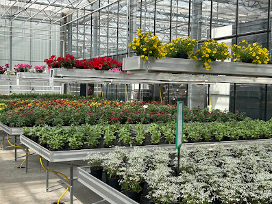 Blumenland Wiedmaier