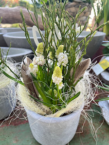 Blumen & Gärtnerei Rommel
