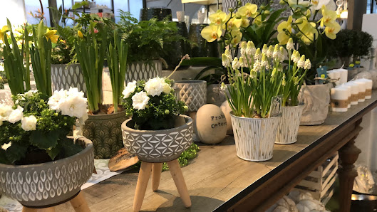 Blumen & Gärtnerei Rommel