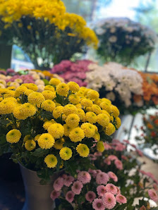 Blumenladen auf dem Friedhof "In den Kisseln"