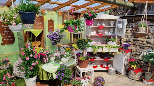 Ulli’s Gartenecke