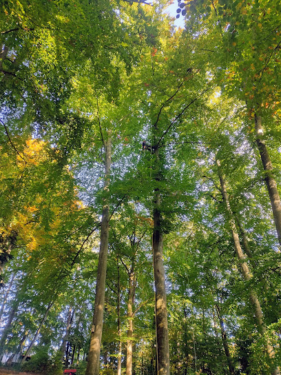 Garten- & Baumpflege