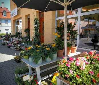 Blumen-Peter