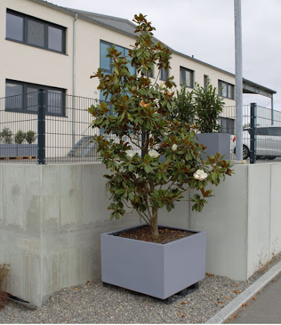 Tran Company GmbH - Elegant Einrichten