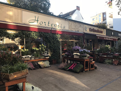 Hortensia