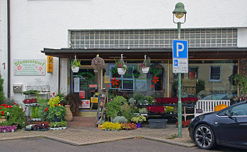 Blumeninsel Roth