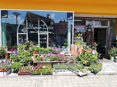 Blumengeschäft Lotos