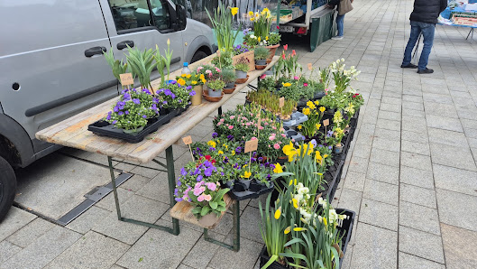 Blumen Ali