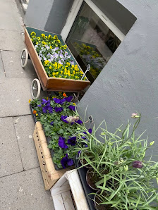Blumen Sakuramoments