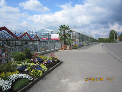 Blumen Weggler