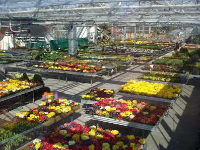 Blumen Weggler