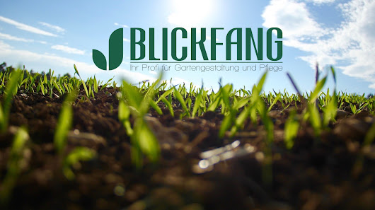 Blickfang Gartengestaltung
