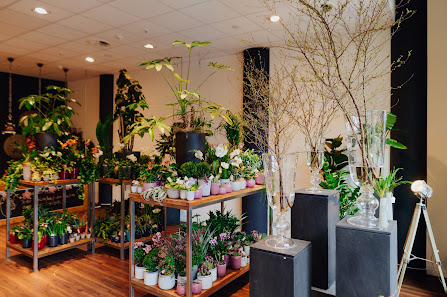 DGR Blumenbinderei HafenCity GmbH