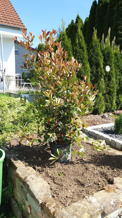 Heckmann GbR Baumschule-Gartencenter