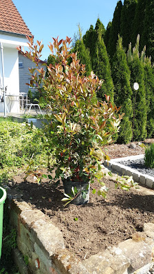 Heckmann GbR Baumschule-Gartencenter