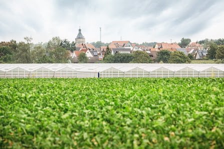 Rothenbücher Gartenbau