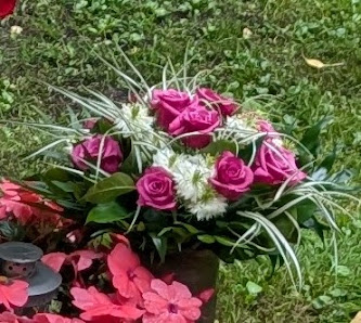 Blumenhaus Bröse