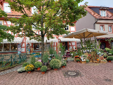 Blumen - Emig