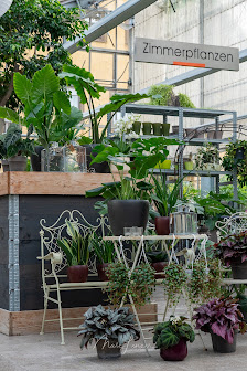 Blumenhaus & Gärtnerei Rüger