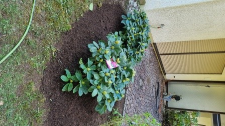 Sinani Gartenbau Ottobrunn