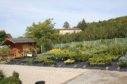 Baumschule